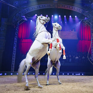 Wereldkerstcircus in Carré